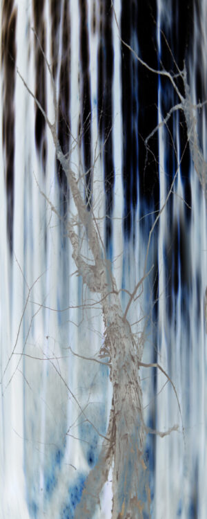 TreeScapes Twin Lakes 41