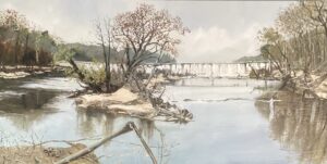 Birds on the Dam