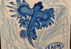 “Blue Dragon Sea Slug”