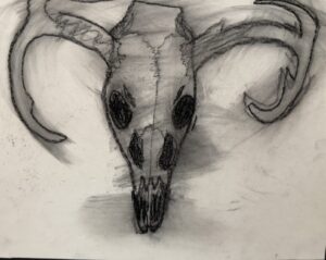 “Skeleton”