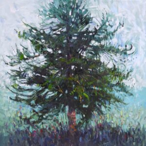 Redcedar Matriarch