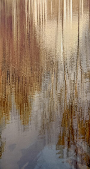 Twin Lakes 06