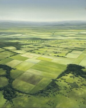 Houston Fields