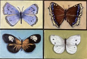 Butterflies