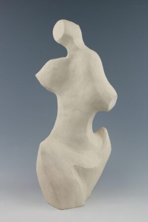 Torso